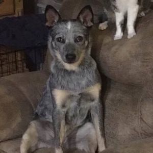 Meet your Posher, Jarred